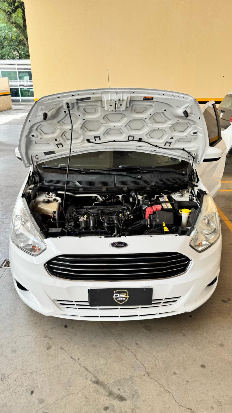 IMG-20250617-WA0232